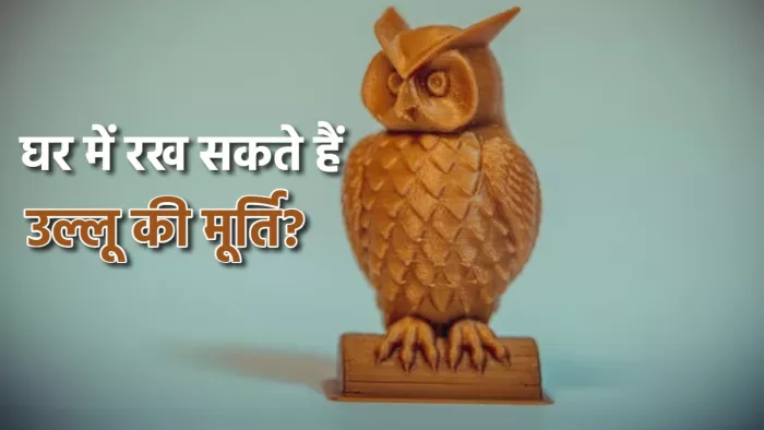 11 01 2024 owl statue vastu tips 23626813 m