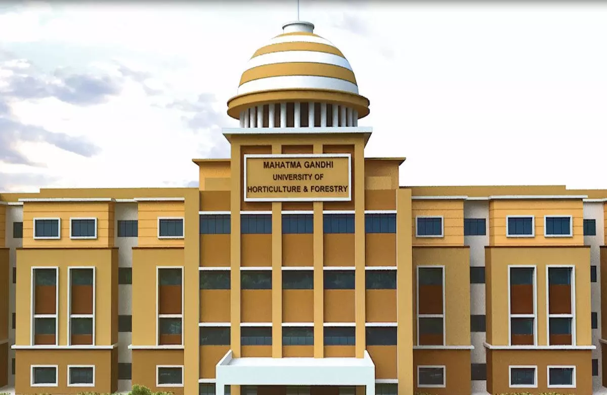 1256063 mahatma gandhi