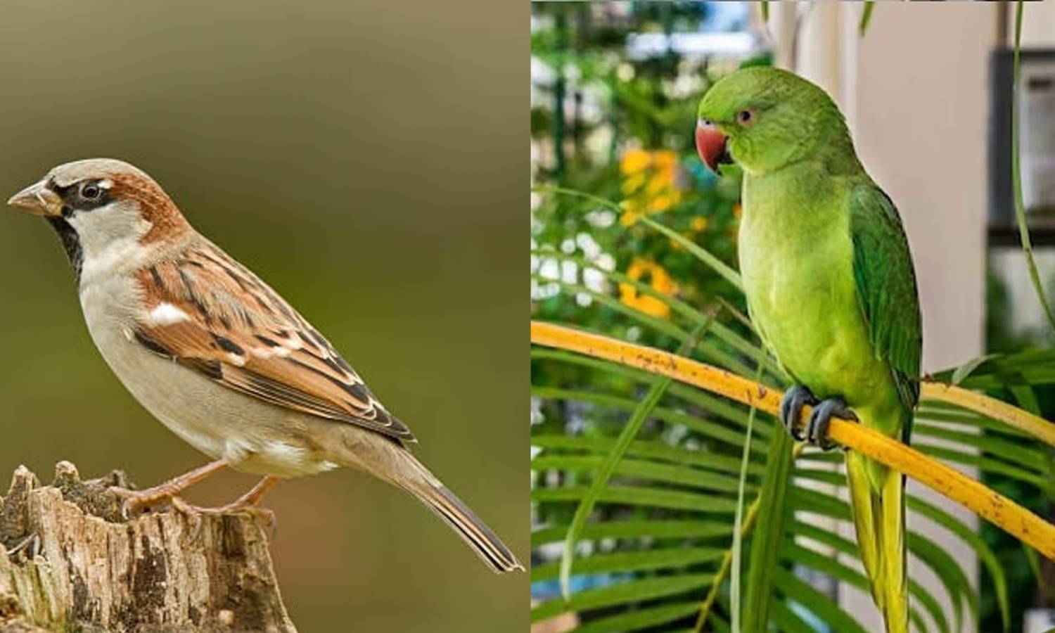 1501719 untitled design 14