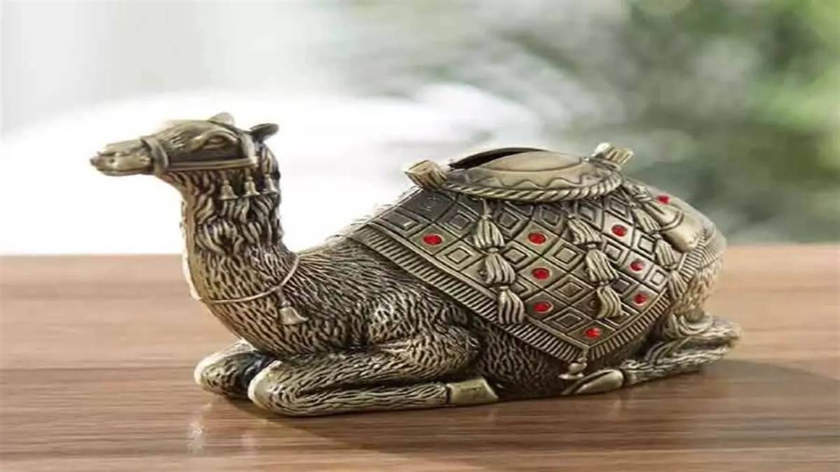 19 10 2022 fengshuicamel