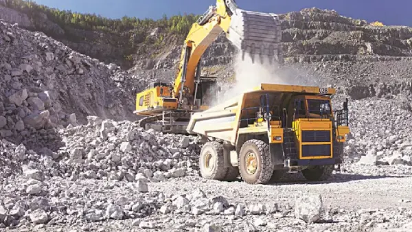 202531224221000017202531224221000007