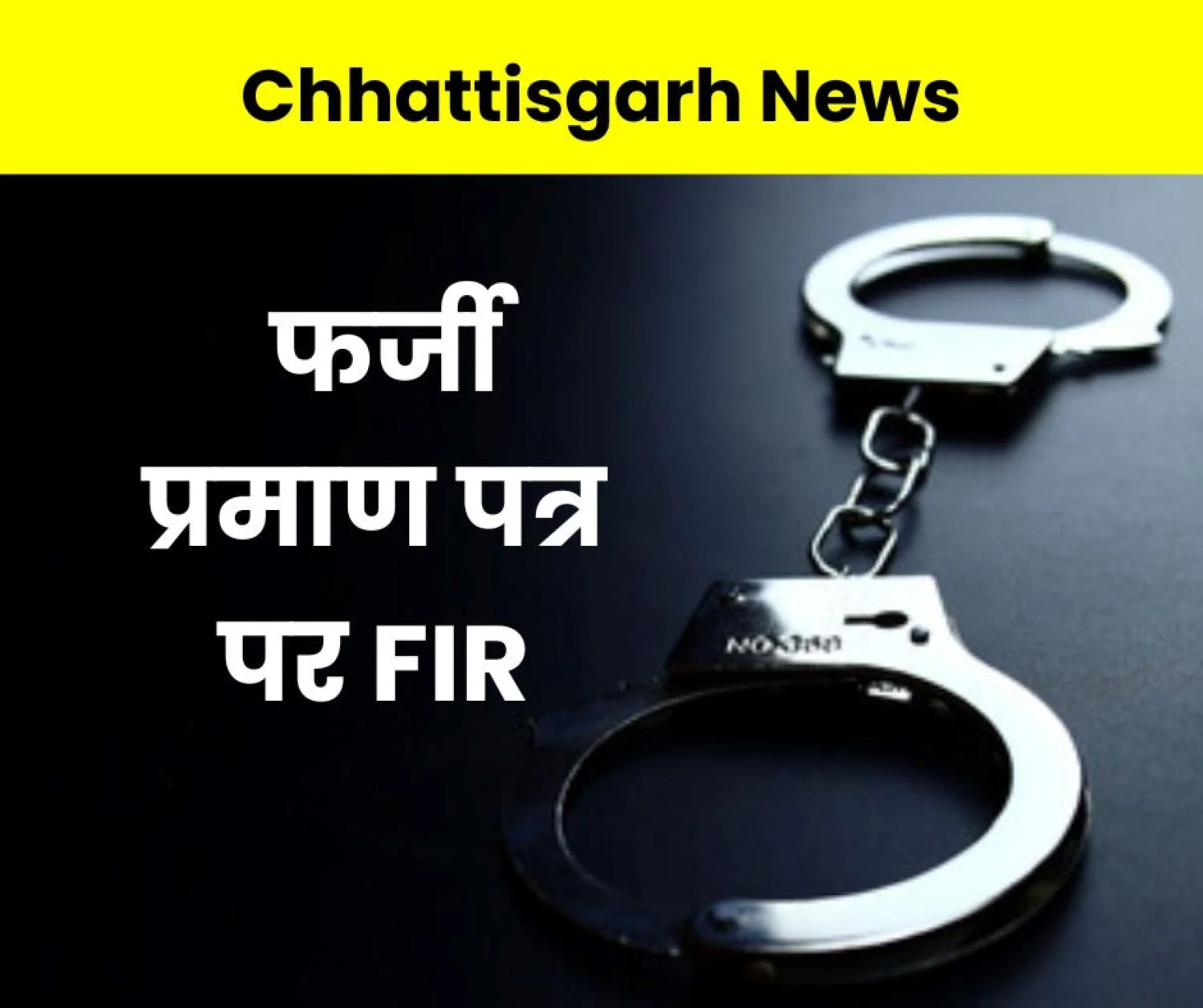 Chhattisgarh News Fake certificate case FIR against Dinesh Engineering Limited
