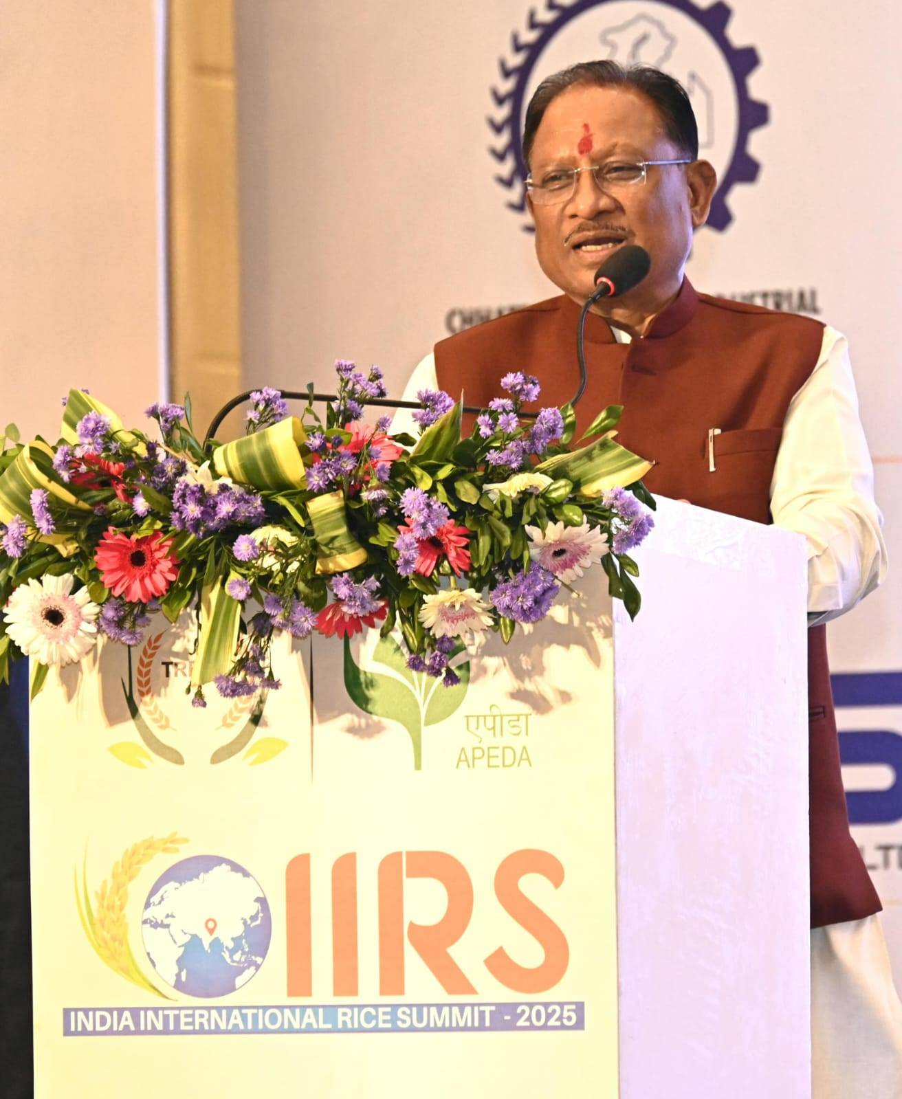 WhatsApp Image 2025 01 11 at 21.35.25