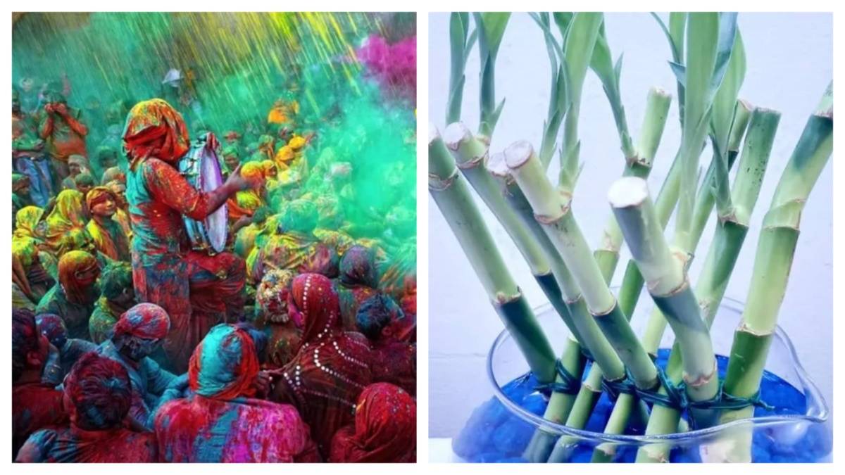 mixcollage 08 feb 2025 04 51 pm 4081 1739013703