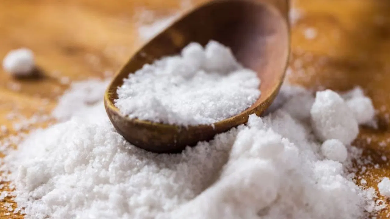 salt 2