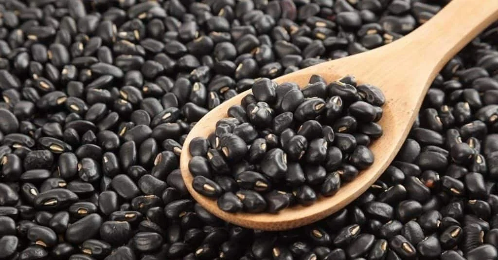 urad dal udad dal ayurved central e1534604432579 1024x534 1