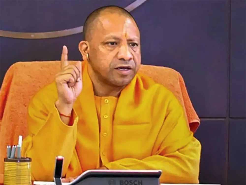 yogi 7