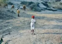 राजस्थान, राज्य, में, 6500, सरकारी, शिक्षक, भर्ती, का, ऐलान,, शिक्षा