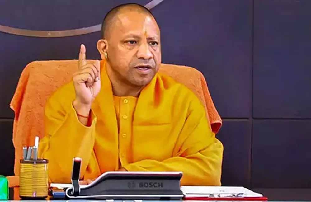 yogi 60 1 4