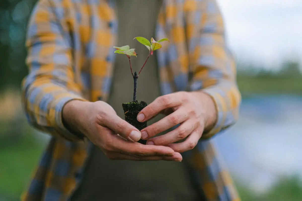 Climate Control 4 Plant a tree — the simplest climate action
