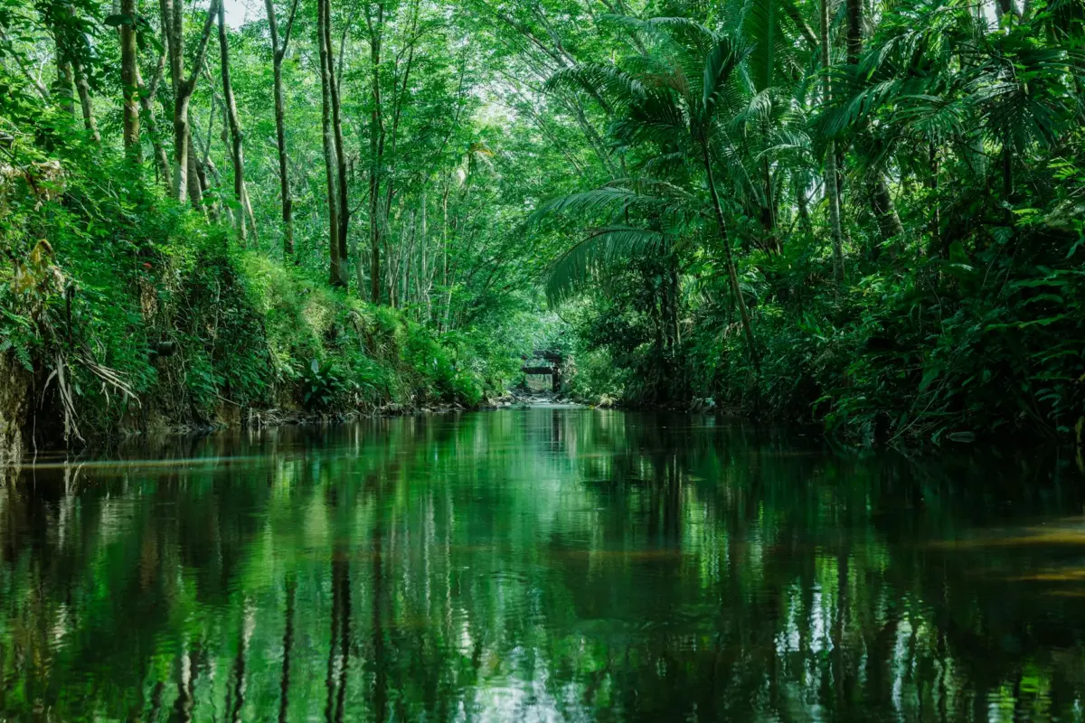 Climate Control 2 Earth's natural beauty before man-made damage