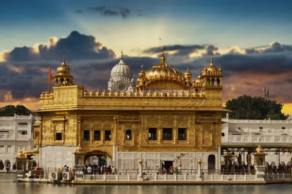 पंजाब का सबसे विशाल पेड़ बना कौतूहल का केंद्र, 300 साल पुरानी जड़ों का आठ एकड़ तक फैला साम्राज्य