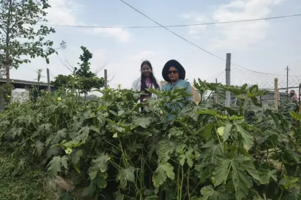 सरकारी नौकरी के साथ प्राकृतिक खेती में प्रतिमा रॉय ने रचा नया अध्याय
