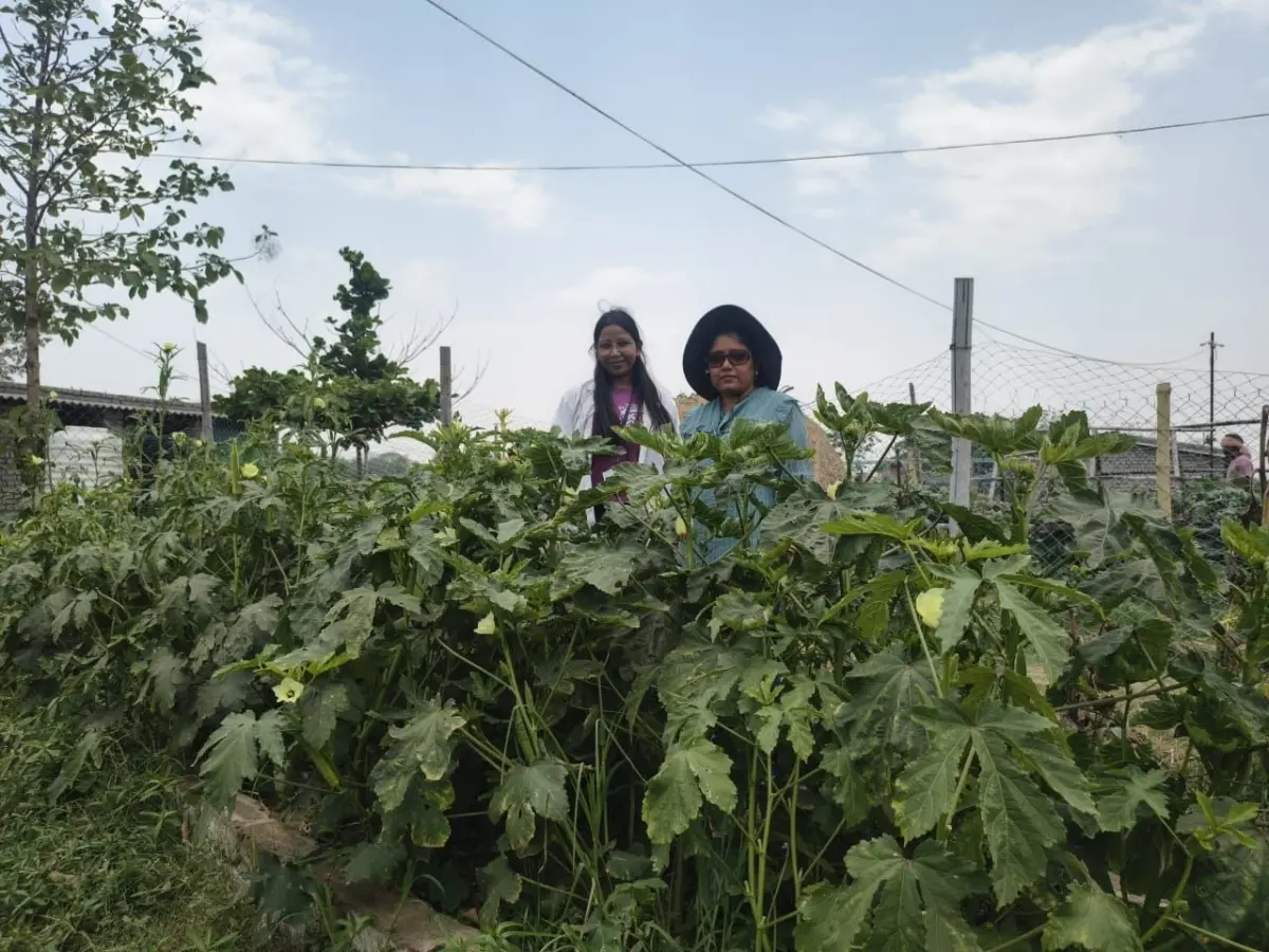 सरकारी नौकरी के साथ प्राकृतिक खेती में प्रतिमा रॉय ने रचा नया अध्याय