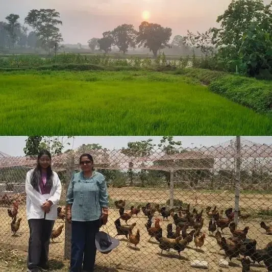 सरकारी नौकरी के साथ प्राकृतिक खेती में प्रतिमा रॉय ने रचा नया अध्याय 2 प्राकृतिक खेती
