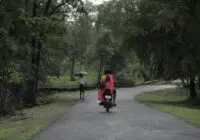 A motorbike ride and pedestrian walk through lush forests in Jhiriya Kalan, Chhattisgarh, capturing serene monsoon vibes.