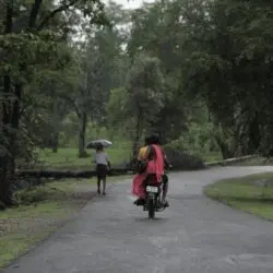 A motorbike ride and pedestrian walk through lush forests in Jhiriya Kalan, Chhattisgarh, capturing serene monsoon vibes.