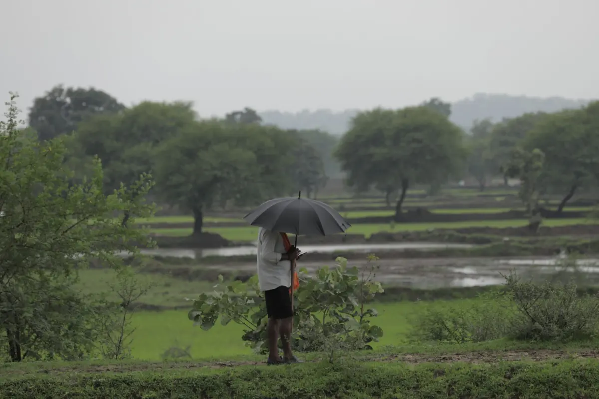 MP में कब तक मानसून सक्रिय रहेगा, मौसम वैज्ञानिक ने बताया; आज 23 जिलों में भारी तो 9 में मूसलाधार बारिश का अलर्ट 2 MP में मानसून सक्रिय