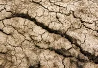 Detailed texture of cracked, arid earth symbolizing drought and environmental issues.