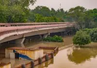 Flooded area under a bridge in New Delhi, surrounded by trees and murky water.