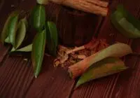Cinnamon sticks and leaves on a wooden surface, highlighting their natural beauty.