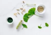 Flat lay of herbal supplements with ginkgo leaves on marble surface, emphasizing natural health remedies.